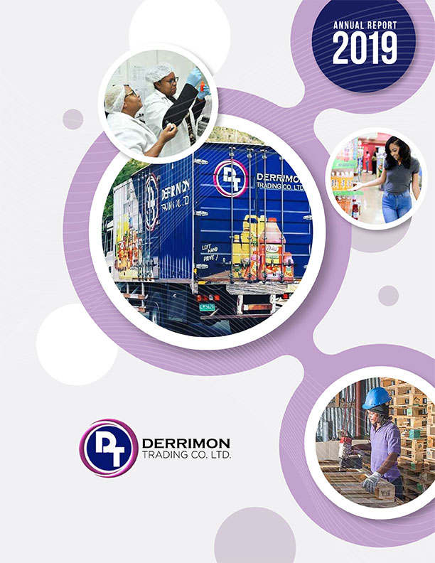 DERRIMON_Annual_Report_2019-1